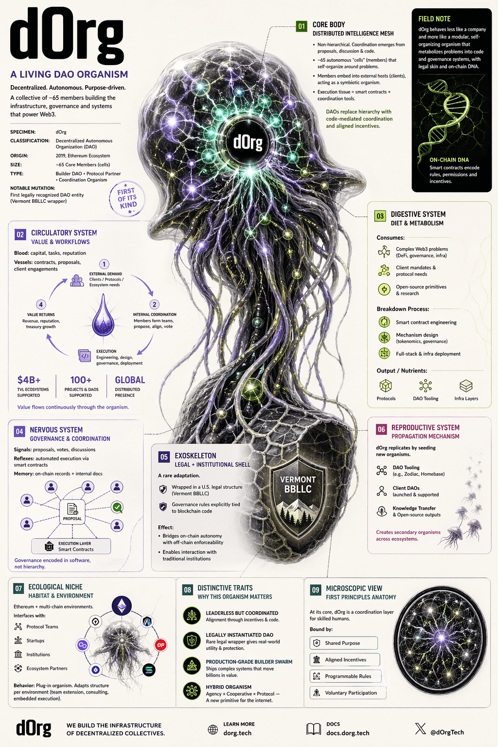 dOrg: A living DAO organism — vertical infographic mapping the collective’s systems: distributed coordination, value and workflows, governance, legal shell, and how work moves from demand through delivery.